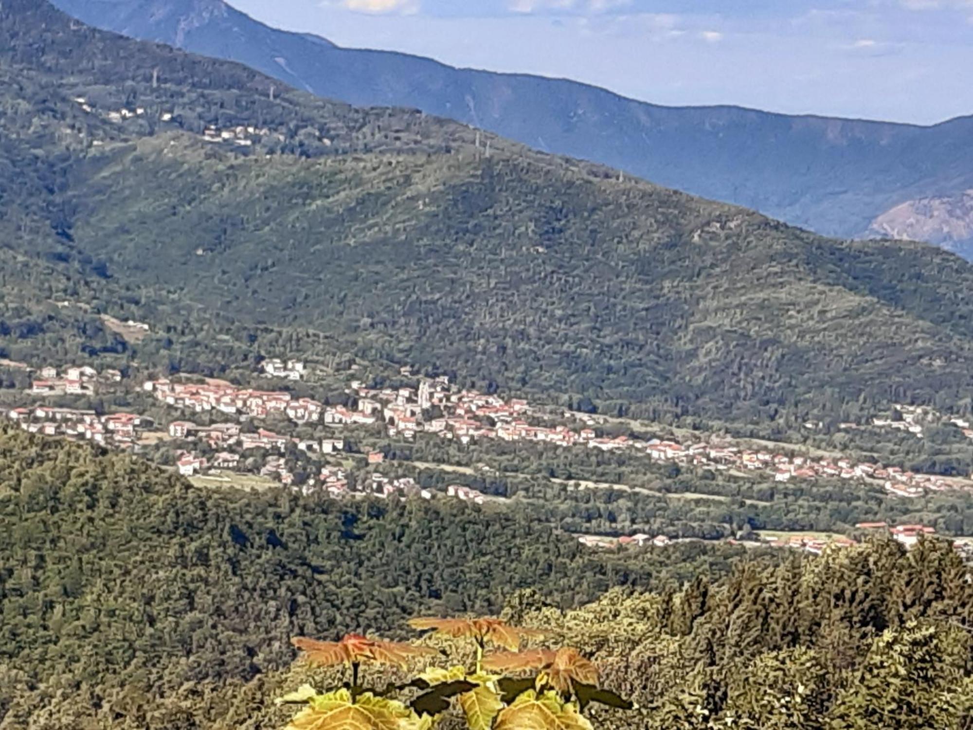 Grazioso Bilocale Merlino, Luminoso Con Vista Santuario, Wifi Giaveno Exteriér fotografie